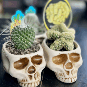 SKULL Planters