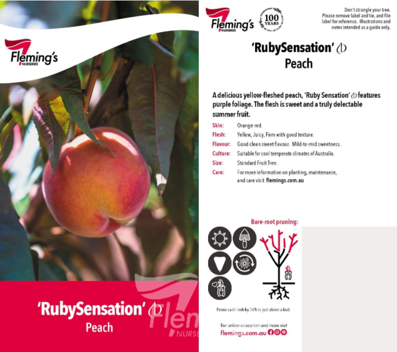 Ruby Peah PEACH ‘Ruby Sensation’ - Echuca Plant Farm