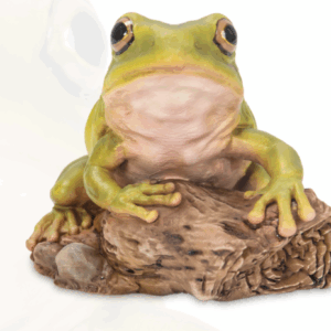 Tree Frog – Small