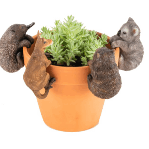 Aussie Animal Asst Pot Sitters