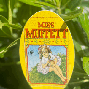 PITTOSPORUM 'Miss Muffett'