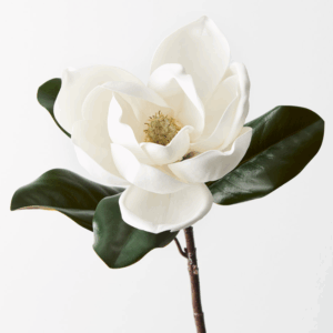 ARTIFICIAL 'Magnolia'