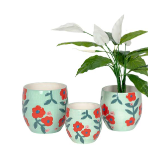 Green/Red flower Pot