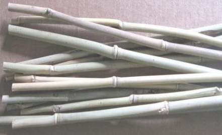 BAMBOO Stakes