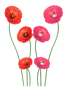 POPPY Stakes