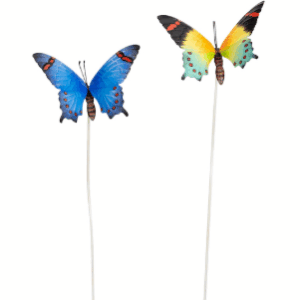 Butterflies Stake Medium