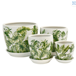 PLANTERS - TROPICS