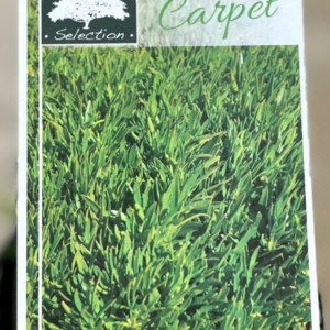 MYOPORUM parvifolium 'Mallee Carpet'