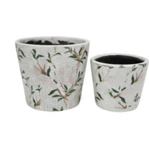 POT - MAGNOLIA