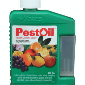 YATES- 'Pest Oil'