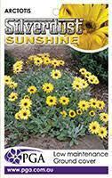 ARCTOTIS ‘Silver Dust Sunshine’