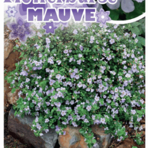 SUTERA 'Mauve Flowerburst'