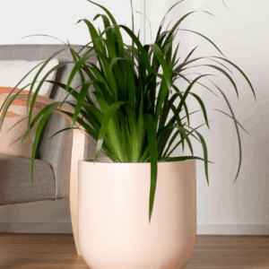 TROMSO Cup Pot- Matte Peach