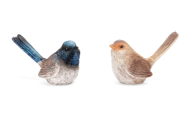 FAIRY WREN No Feet