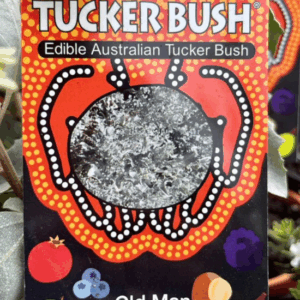 TUCKER BUSH 'Old Man Saltbush'