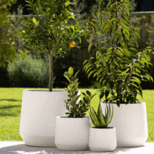 CEMENT LITE DRUM
