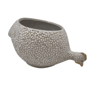 Planter Guinea Fowl