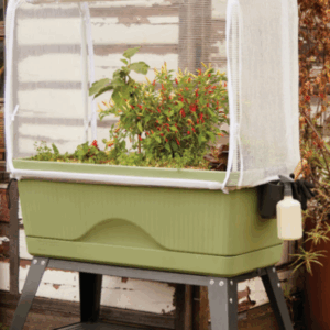 Backyard Farmer Raised Garden Bed