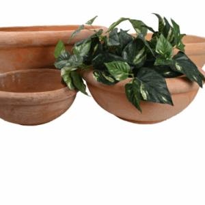 Terracotta Rimmed Bowl Traditional