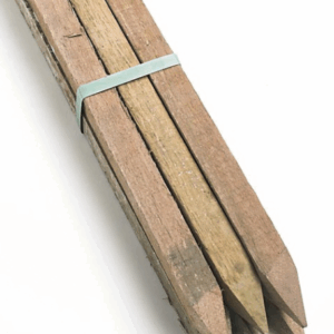 TIMBER STAKES