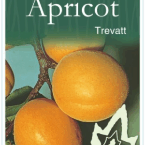 APRICOT 'Trevatt'
