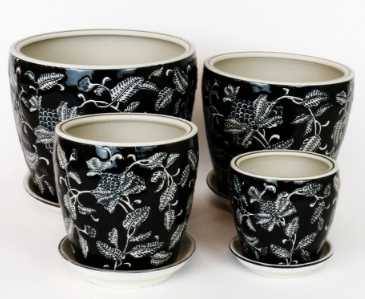 PLANTERS BLACK PINE