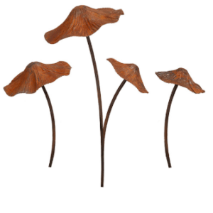 Mixed Mushroom Rust