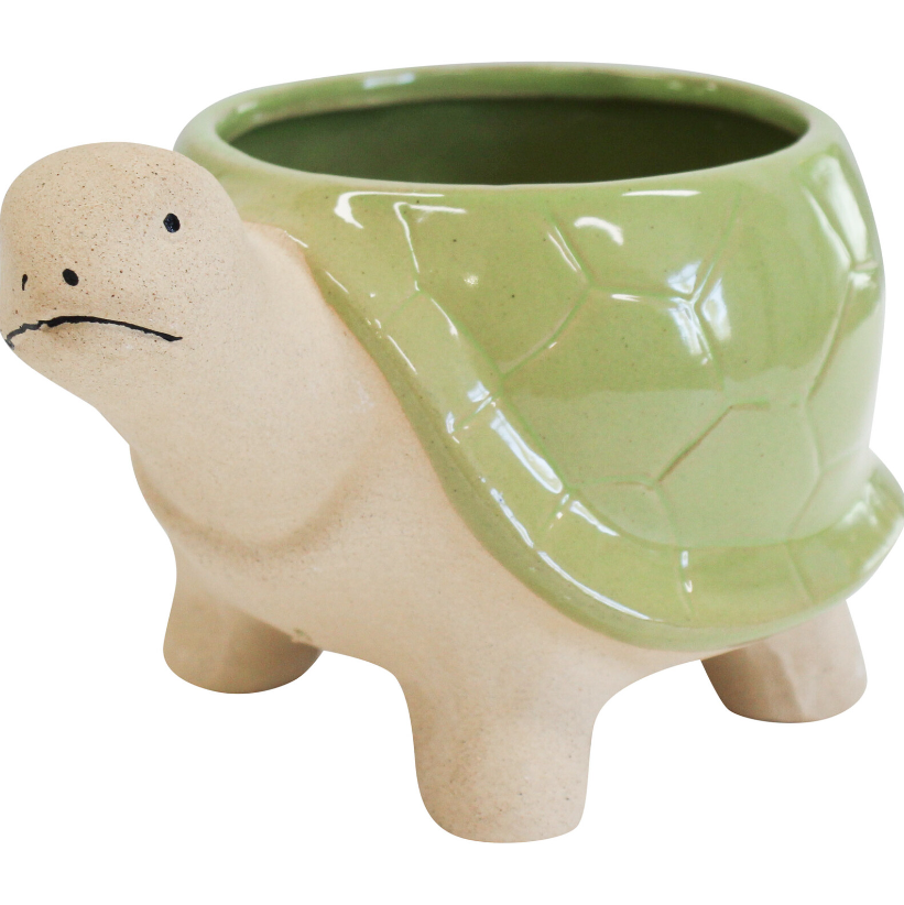 MAC the Turtle Planter