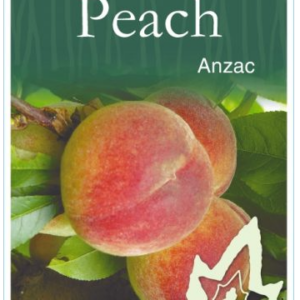 PEACH 'Anzac' Bare Root 2026