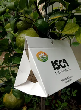 ECO Citrus Leaf Miner Trap