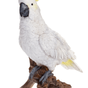COCKATOO on Stump