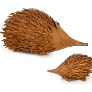 Echidna Rust S/2