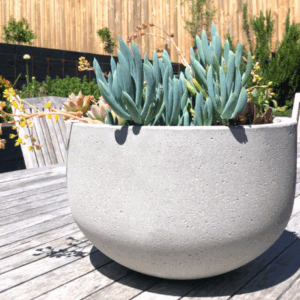 URBANSTYLE Bowl
