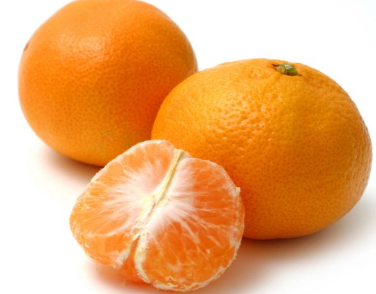 CITRUS Mandarin 'Ellendale'