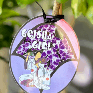 DURANTA repens 'Geisha Girl'