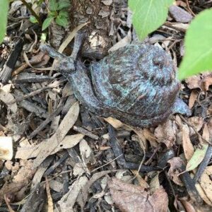 SNAIL KEY HIDERS