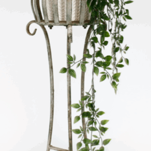 PLANT Stand Varieties