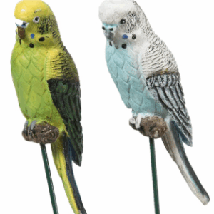 BUDGIE on Stick