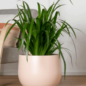 UPPSALA Short Cup Pot- Matte Peach