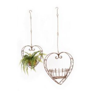Planters Heart Rust