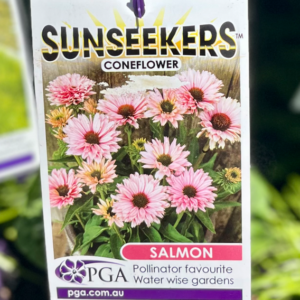 ECHINACEA 'Salmon Sunseekers' (Coneflower)