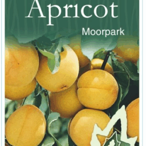 APRICOT 'Moorpark'