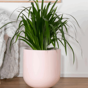 TROMSO Cup POTS- Matte Pink