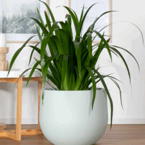 UPPSALA Short Cup Pot- Matte Green