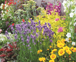 Cottage assorted range