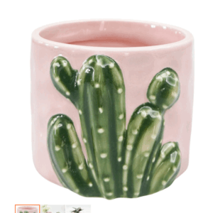 Cactus Planter Pink 9cm