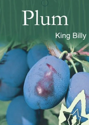 PLUM - King Billy