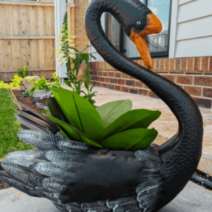 Ebony the Black Swan Planter