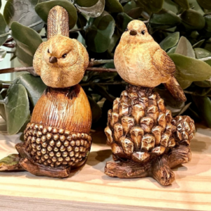 Birds sitting on Pinecones