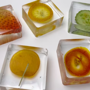 resin plant specimen